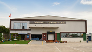 Emball'iso India buildings